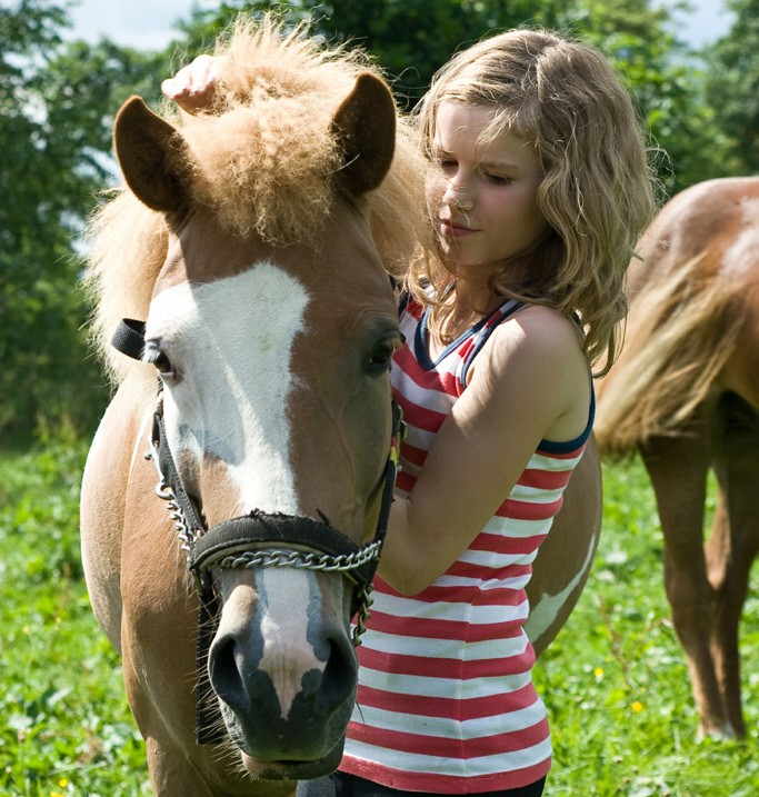7 Life Lessons and Skills Horses Teach Our Children
